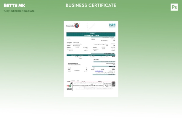 модерен стил ОАЕ Дубаи професионална лиценца на компанијата Word и шаблон за PDF